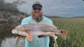 Catching Redfish in a tiny creek! Perfect blackened Redfish! (Catch, Cook, Clean)