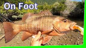 I carried my whole boat 3.7km to catch the best Fish on foot! Epic Catch & Cook - EP.586
