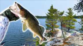 BEST CATCH & COOK EVER! Northern Walleye Lure Fishing