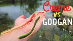 Googan Baits vs 70-year-old Creme Scoundrel Worm | NEW lure vs OLD lure Challenge