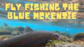 Fly Fishing the Blue McKenzie River (Oregon)