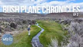 Fly Fishing Small Desert Stream in the Middle of Nowhere (w/ Trent Palmer)