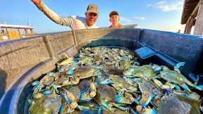 THE MOST AMAZING CRABBING I'VE EVER DONE! {Catch Clean Cook} Florida vs Georgia Crabs