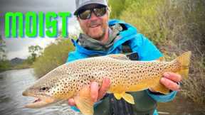 MOIST - a fly fishing trip