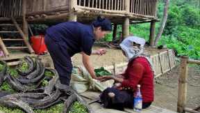 Catch a lot of big fish, help beggars have a meal - Daily life on the farm - Quan Thị Chung