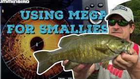 Finding Giant Smallmouth on Rainy Lake