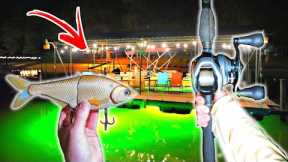 These DOCK Lights Were LOADED With Big Fish (Surprising Catch)