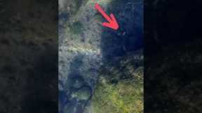 What an underwater refusal looks like