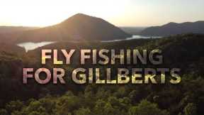 FLY FISHING FOR BLUEGILL IS SO MUCH FUN