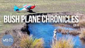 Fly Fishing the Sierra Nevadas from a Bush Plane (w/ Trent Palmer)