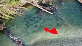The Fly Fishing madness in Taupo has started
