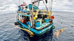 We Found 7 Men on a Crazy Boat Surviving off the Ocean ! (Tuna Catch Clean & Cook)