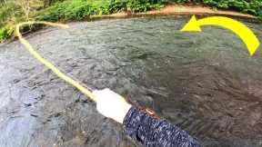 GIANT Brown Trout Fooled On DRY FLY! | Delaware River Fly Fishing