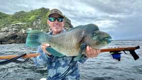 Parrot Fish and Lobster on a Remote Island in the Pacific (Catch Clean & Cook)