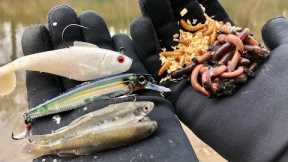 FISHING EXPERIMENT: Best Winter Bait??? (Lures vs. Minnows vs. Worms)