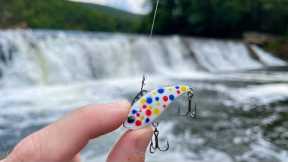 Do Wonder Bread Lures Catch Fish?! (RIVER FISHING)