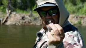 What Happens When You Mix Up Your Fly Fishing Techniques? - Fly Fishing Trip Vlog