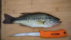 Largemouth BASS Catch and Cook