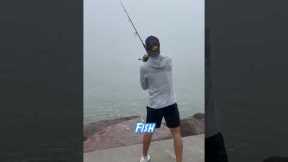 MASSIVE “UGLY” Fish CAUGHT Deep In The OCEAN 🤯(INSANE)