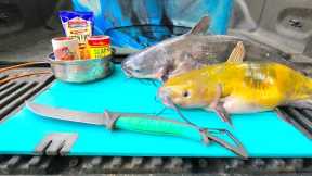 Channel vs Blue Catfish Catch n' Cook Taste Test! Which Is Better??