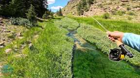 This Tiny Spring Creek Was LOADED with Trout! (Fly fishing)