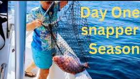 I Love Catching These Fish