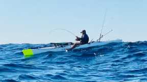 The BIG FISH FIGHT - Catch & Cook