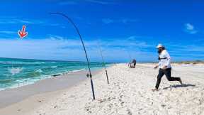 Eating WHATEVER I Catch From Public Beach! (Catch,Clean,Cook)