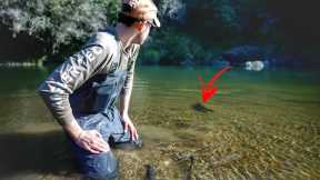 Local Fail and Last Day of the Fly Fishing Season.