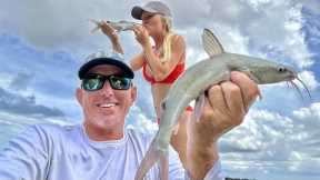 The Most Underrated Fish in the Sea! (Saltwater Catfish Catch, Clean and Cook)