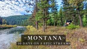 Fly Fishing Montana - 10 days of truck camping - 5 epic streams