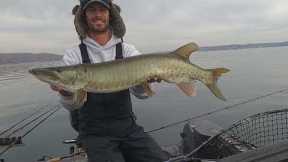 Fishing Lake Geneva Muskies w/ Austin Wiggerman Guide Service - Fish With Teeth Outdoors
