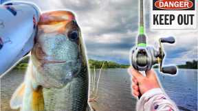 Fishing An Abandon Trophy Bass Lake (Multiple Giants)