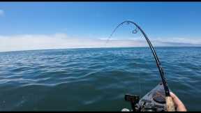 Lots Of Fluke/Flounder/Bluefish Ocean Kayak Fishing New England