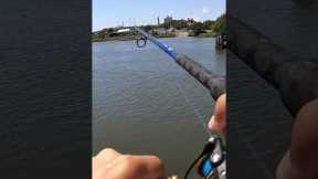 Eating What I Catch under the Bridge 🎣