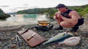 Day 7 REMOTE and ALONE Catch & Cook in New Zealand