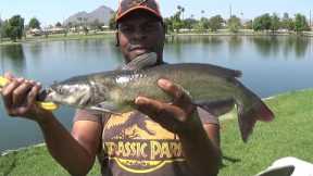 FISHING AT CHAPARRAL LAKE