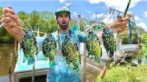 It's ILLEGAL To Release These Beautiful Fish ALIVE! -- CATCH and COOK Invasive Species! (NEW PB x12)