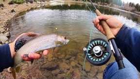 EPIC Day of ARCTIC GRAYLING Fishing!! (Fly Fishing Catch & Cook)
