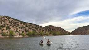I Caught a Brown Trout with my BARE HANDS | Catch and Cook | New Mexico