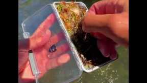 The Ultimate Fly Fishing Mind-Blowing Moment
