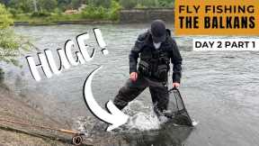 ANOTHER Crazy Day of Fly Fishing in The Balkans (BIG TROUT!)