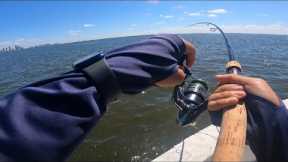 Fishing bayshore for monsters (Lots of shark)