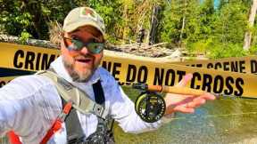 This Even LEGAL When Fly Fishing?!