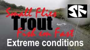 Still Water Fly Fishing Trout - Methods for Early Autumn.