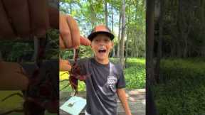 3 WAYS TO HOLD A CRAWFISH 🦞🤏 #crawfish #fishing #crawfishboil #louisiana