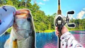 Hunting GIANT Summer Fish On My Favorite Lake (We Found One)
