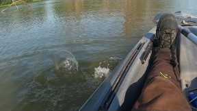searching for big bass (lake fishing)