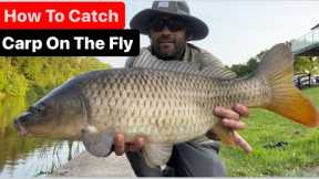 Fly Fishing For Carp - A Beginners Guide