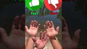 Can I Catch A Fish With My Hands?